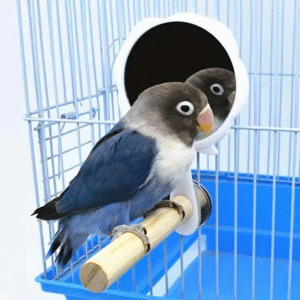 Bird Cage Mirror with Perch for Parakeets - Interactive Standing Mirror Toy for Pet Birds