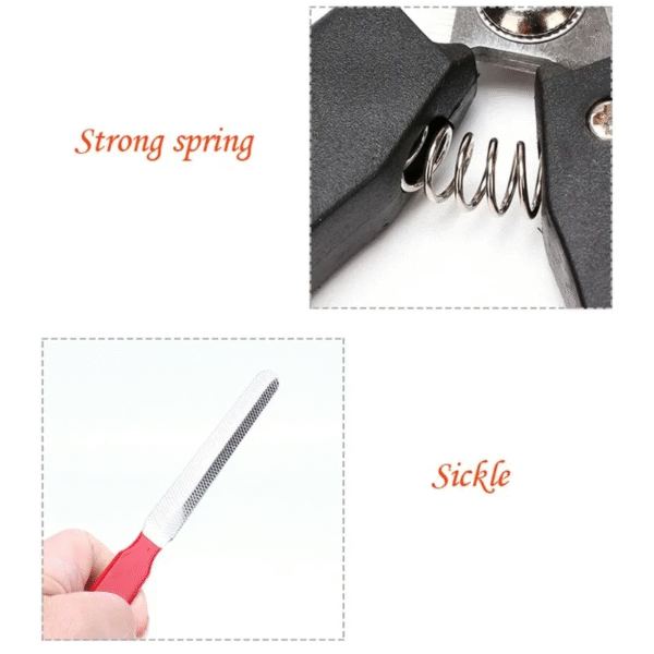 Pet Nail Clippers with Sickle Large Dog Nail Clippers Nail Clippers Multifunctional Teddy Cat Stainless Steel Grooming Scissors - Image 5