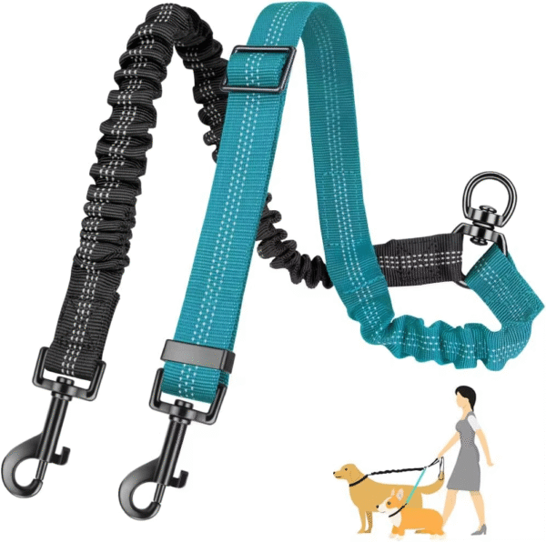 Dual Dog Leash for Large and Small Dogs - Adjustable Double Lead with Shock Absorption - Image 9