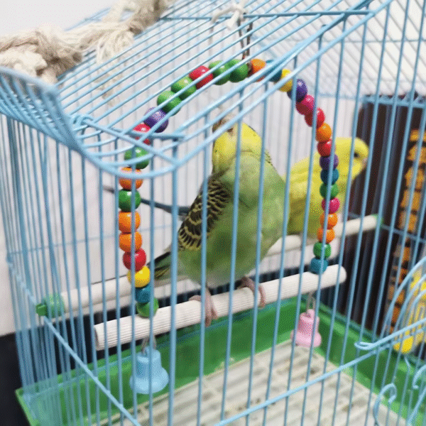 1 Pcs Bird Bite Hanging Ornaments Bird Supplies Attachment Training Supplies Various Bird Cages Accessories Birds Chew Toys - Image 3
