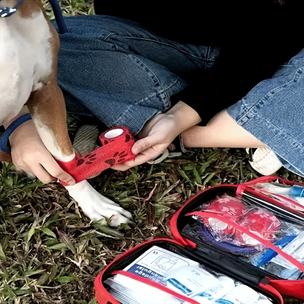 127 Compact Dog and Cat Travelling First Aid Kit with Emergency Supplies and Pet First Aid Manual for Hiking, Camping and Huntin - Image 6