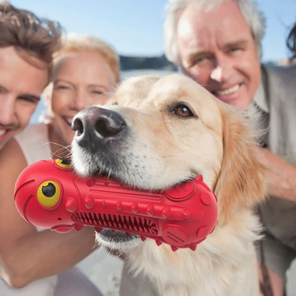 Squeak Dog Toy Interactive Rubber Pet Toys Chew Bite Cleaning Dog Tooth Brush for Aggressive Large Medium Breed 13-36 KG Dogs - Image 10
