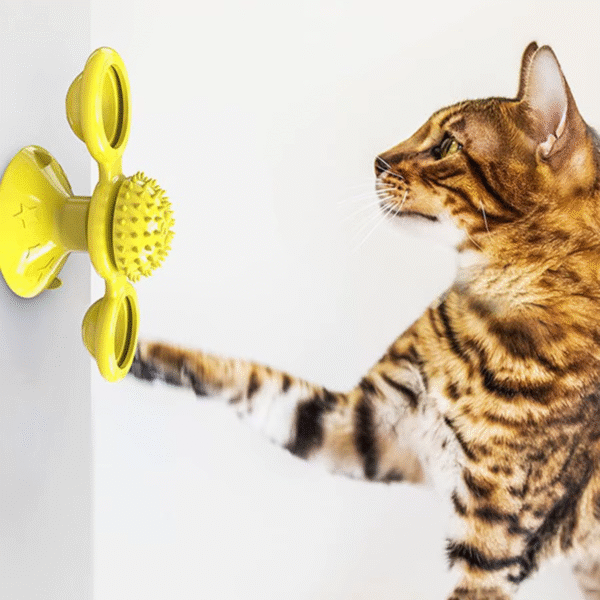 Multifunctional Cat Toy with Glowing Ball & Catnip, Suction Cup Design, Interactive Play & Teeth Massage - Image 4