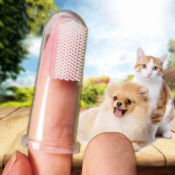 Hot Selling Soft Pet Finger Toothbrush Teddy Dog Brush Bad Breath Tartar Teeth Care Dog Cat Cleaning Supplies Soft Tooth Brush - Image 4