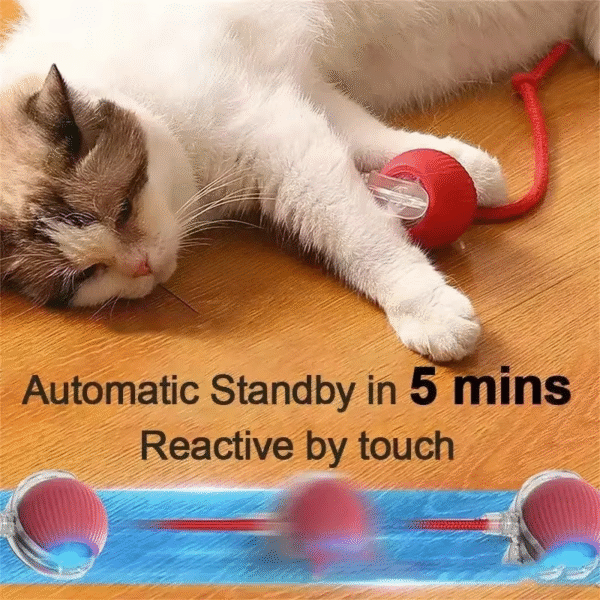 Interactive Dog Toys Rechargeable Pet Interactive Toys Electric Cats Ball Automatic Rolling Fake Tail Ball Dog Cats Toy - Image 4