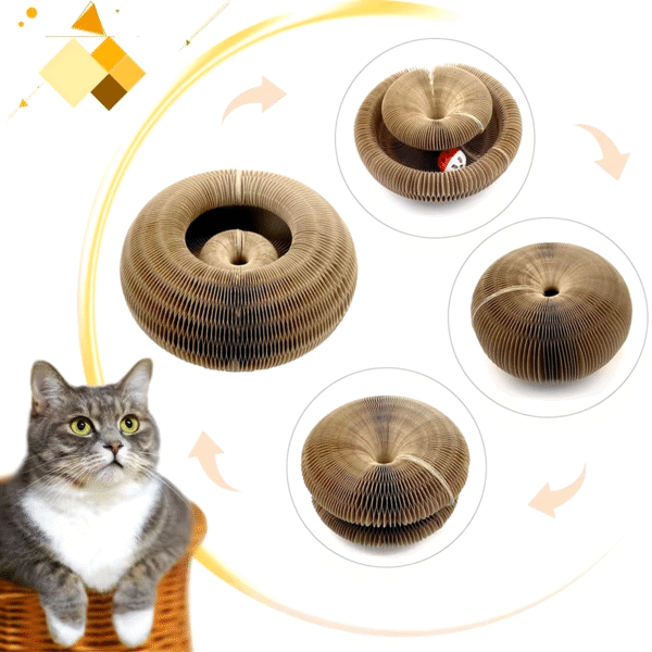 Magic Organ Cat Toy Cats Scratcher Scratch Board round Corrugated Scratching Post Toys for Cats Grinding Claw Cat Accessories - Image 3