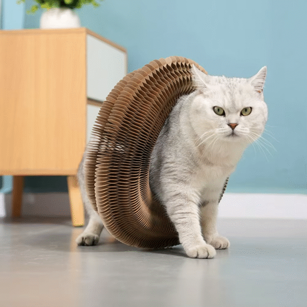 Magic Organ Cat Scratching Board Interactive Scratcher Cat Toy Cat Accordion Toy Cat Grinding Claw Scratching Board Pet Supplies - Image 7