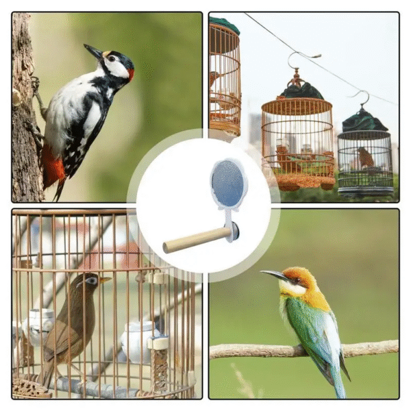 Bird Cage Mirror with Perch for Parakeets - Interactive Standing Mirror Toy for Pet Birds - Image 4