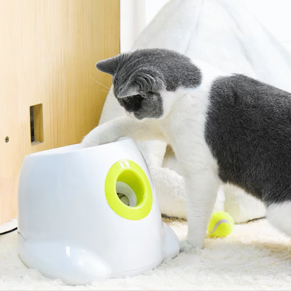 Catapult for Dogs Ball Launcher Dog Toy Tennis Ball Launcher Jumping Ball Pitbull Toys Tennis Ball Machine Automatic Throw Pet - Image 3