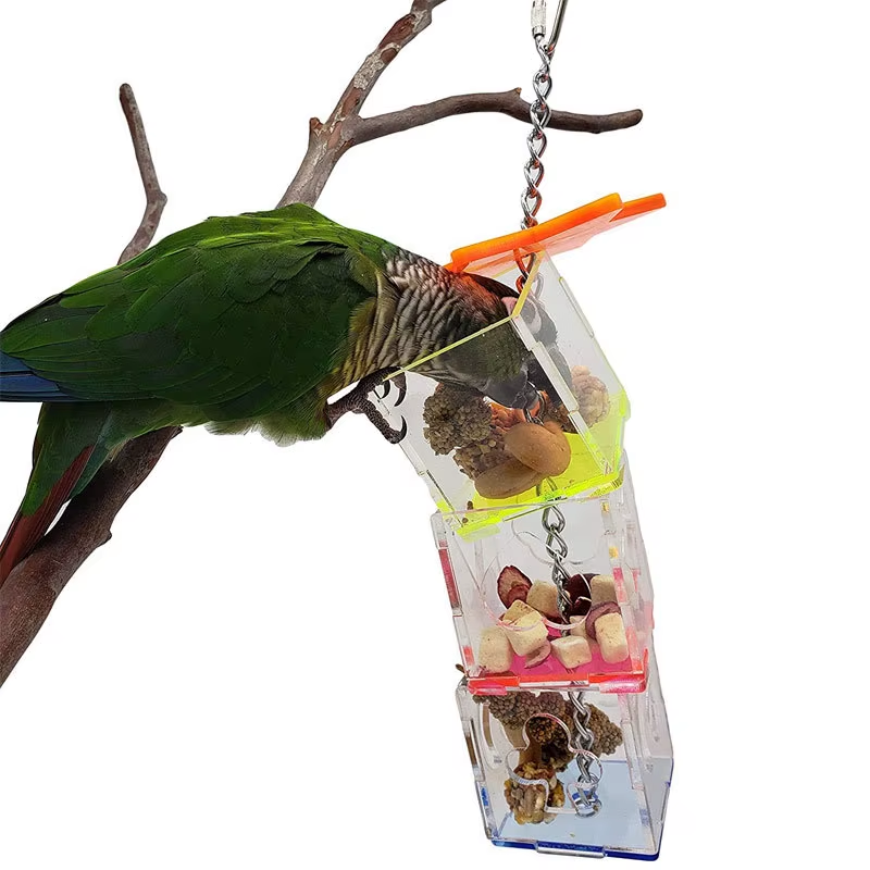 Bird Seeker Acrylic Parrot Puzzle Training Bird Toys Bird Supplies Parrot Toys - Image 3