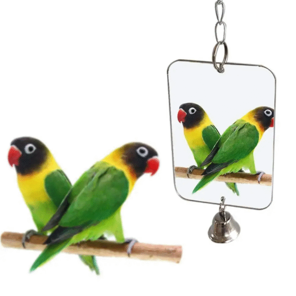 Hanging Mirror Bell Toy for Parakeets and Small Birds - Interactive Cage Decoration with Sound - Image 3
