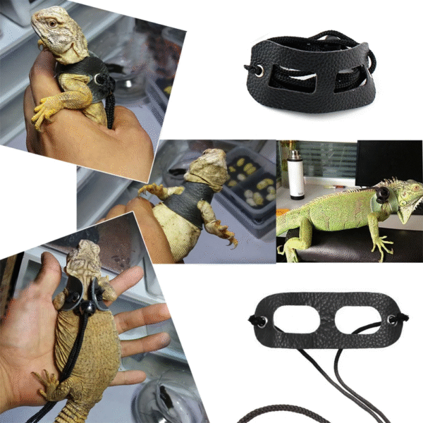 Lizards Iguana Reptiles Traction Rope Pet Outdoor Carrying Walking Harness Leather Traction Rope for Small Pet - Image 3