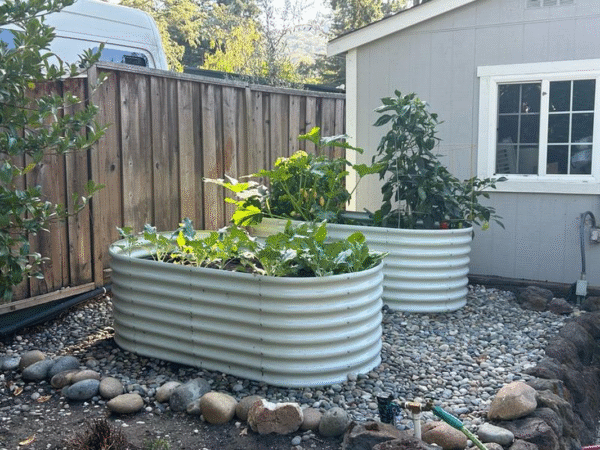 【Mother'S Day Gift】Anleolife 8X4X2Ft Oval Galvanized Raised Garden Bed Kit – Durable, Anti-Rust & Easy Assembly for Vegetables, Flowers & Herbs, Ideal for Home Gardeners & Outdoor Spaces - Image 8