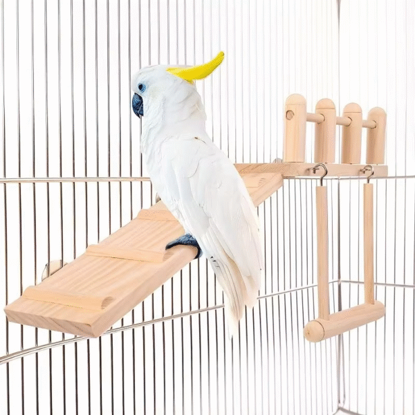 Natural Wood Bird Perch & Play Set - Complete Cage Accessories - Image 4