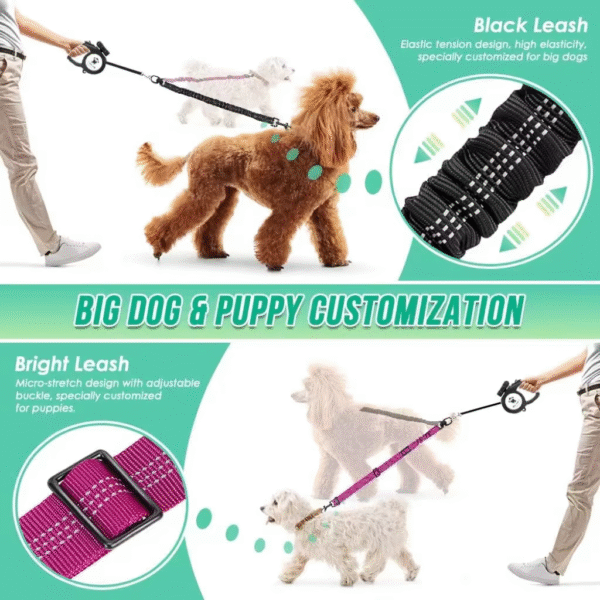 Dual Dog Leash for Large and Small Dogs - Adjustable Double Lead with Shock Absorption - Image 3