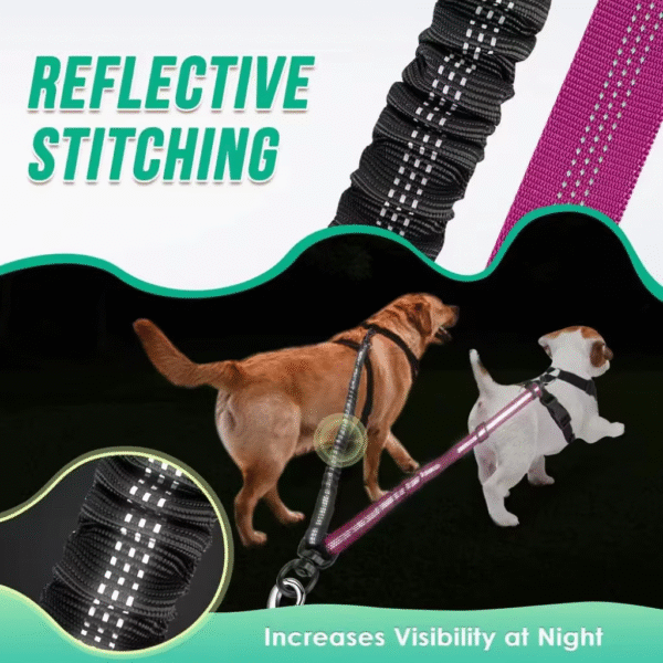 Dual Dog Leash for Large and Small Dogs - Adjustable Double Lead with Shock Absorption - Image 5