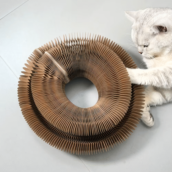 Magic Organ Cat Scratching Board Interactive Scratcher Cat Toy Cat Accordion Toy Cat Grinding Claw Scratching Board Pet Supplies - Image 5