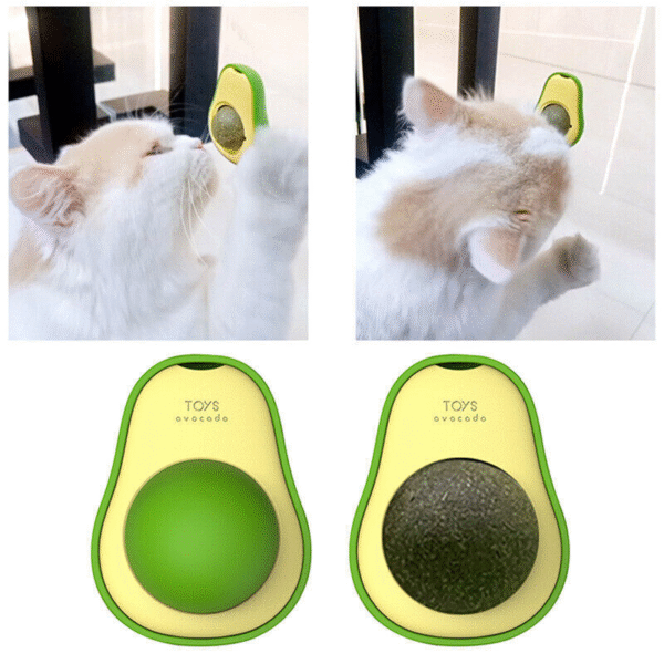 Cute Avocado Catnip Toys Cat Teeth Cleaning Toy Cat Supplies Catnip Mini Cat Treat Toys Interactive Pet Toys Pet Products Pet Avocado Ball Cute Funny Mint Cleaning Teeth Toy for Cat Supplies - Image 12