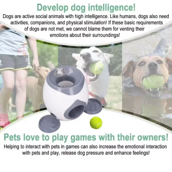 Automatic Ball Launcher for Dog Toy, Interactive Tennis Ball Launcher Machine for Medium Dogs, Interactive Training Smart Feeder - Image 5
