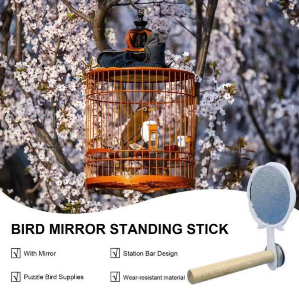 Bird Cage Mirror with Perch for Parakeets - Interactive Standing Mirror Toy for Pet Birds - Image 2