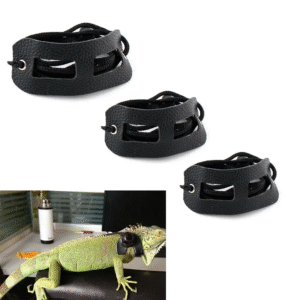 Lizards Iguana Reptiles Traction Rope Pet Outdoor Carrying Walking Harness Leather Traction Rope for Small Pet