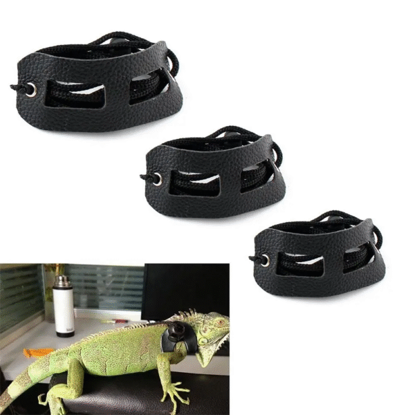 Lizards Iguana Reptiles Traction Rope Pet Outdoor Carrying Walking Harness Leather Traction Rope for Small Pet