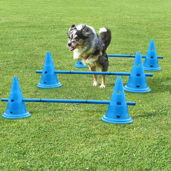3 Set Dog Hurdle Training Cone Pet Dog Training Products Outdoor Dogs Running Training Equipment Football Barrier Cup - Image 2