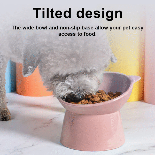 Tilted Cat Food Bowl Elevated Cat Bowl Ergonomic Cat Food Dish anti Vomiting Raised Cat Food Bowl Non Slip for Cats Dogs - Image 3