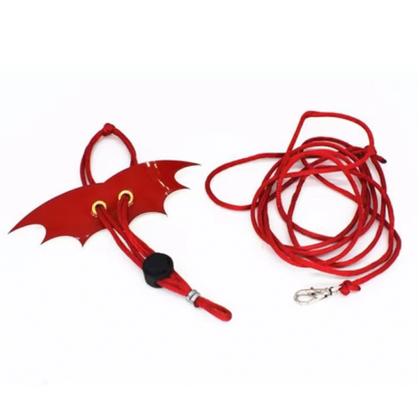 Reptile Lizard Pogona Vitticeps Lguana Iguana Squirrel Traction Rope Small Pet Outing Restraint Collar Adjustable Size