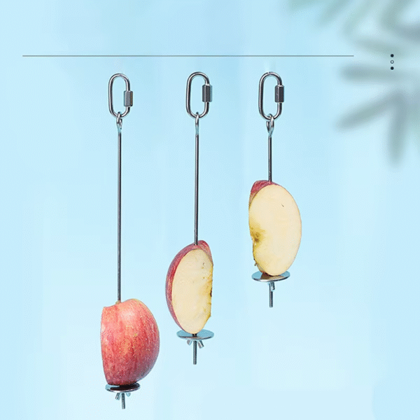 Parrot Stainless Steel Fruit Fork Corn Apple Fork Toy Bird Cage Supplies Bird Fruit Insert Feeder Pet Parrot Accessories - Image 2