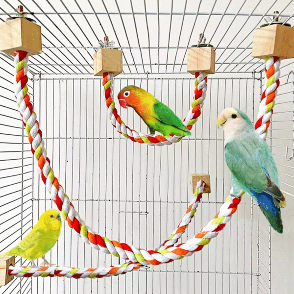 Pet Bird Bite Toys Parrot Color Cotton Rope Toys Elastic Parrot Climbing Toys Sturdy Bird Swing Harness Cage Pet Toy Swing Stand - Image 2