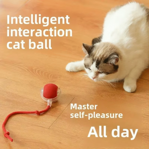 Interactive Dog Toys Rechargeable Pet Interactive Toys Electric Cats Ball Automatic Rolling Fake Tail Ball Dog Cats Toy - Image 3