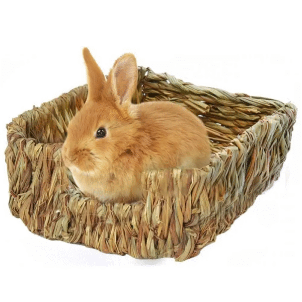 Natural Grass Nest House for Rabbits and Guinea Pigs - Hand-Woven Chew Safe Hideaway - Image 5