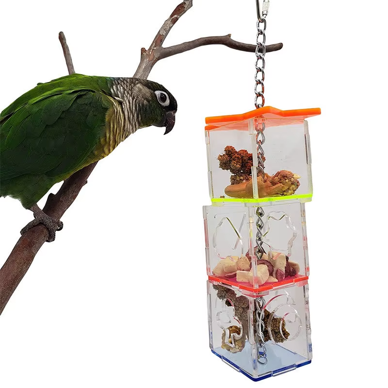 Bird Seeker Acrylic Parrot Puzzle Training Bird Toys Bird Supplies Parrot Toys - Image 2