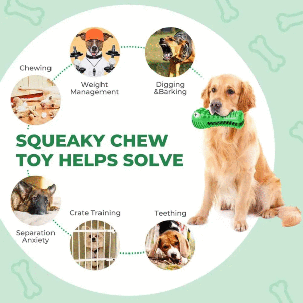 Squeak Dog Toy Interactive Rubber Pet Toys Chew Bite Cleaning Dog Tooth Brush for Aggressive Large Medium Breed 13-36 KG Dogs - Image 5