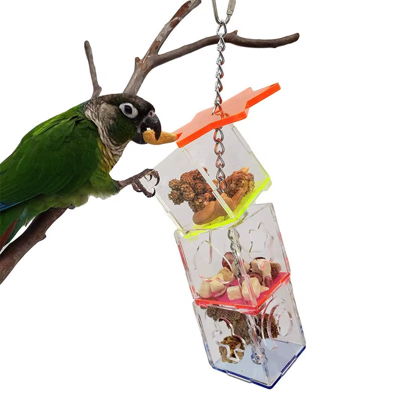 Bird Seeker Acrylic Parrot Puzzle Training Bird Toys Bird Supplies Parrot Toys - Image 5