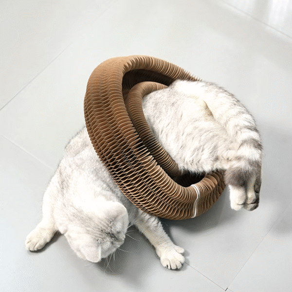 Magic Organ Cat Scratching Board Interactive Scratcher Cat Toy Cat Accordion Toy Cat Grinding Claw Scratching Board Pet Supplies - Image 6