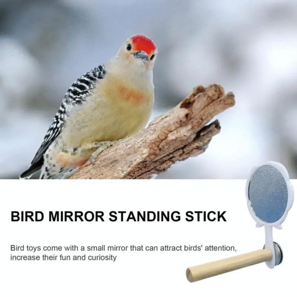 Bird Cage Mirror with Perch for Parakeets - Interactive Standing Mirror Toy for Pet Birds - Image 3