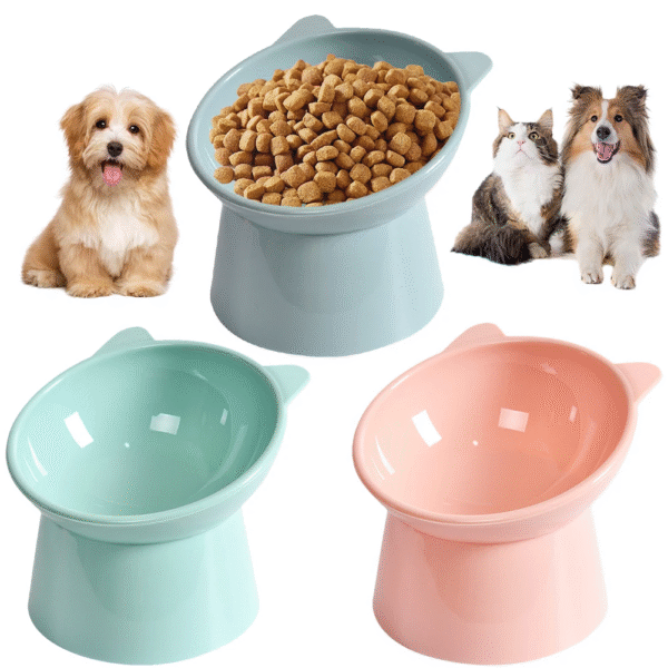 Tilted Cat Food Bowl Elevated Cat Bowl Ergonomic Cat Food Dish anti Vomiting Raised Cat Food Bowl Non Slip for Cats Dogs - Image 2