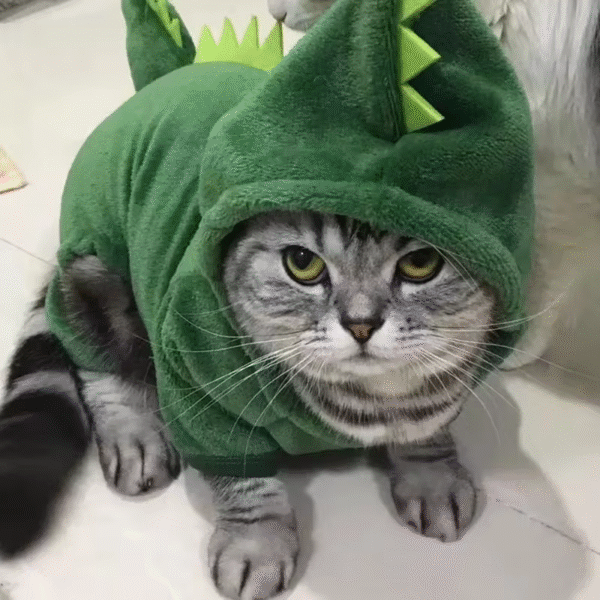 Pet Cat Dog Halloween Dog Clothes for Small Dogs Funny Dinosaur Cosplay Costume Winter Warm Cat Coat Fleece Hoodies Sweater - Image 3