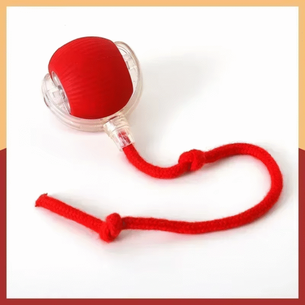Interactive Dog Toys Rechargeable Pet Interactive Toys Electric Cats Ball Automatic Rolling Fake Tail Ball Dog Cats Toy - Image 9