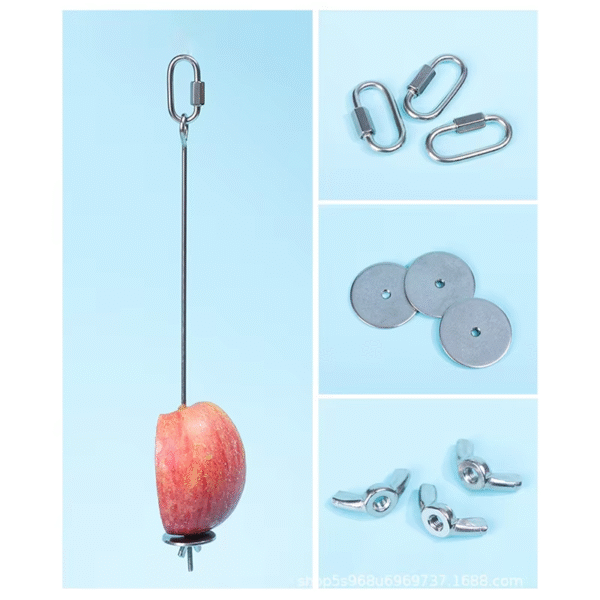 Parrot Stainless Steel Fruit Fork Corn Apple Fork Toy Bird Cage Supplies Bird Fruit Insert Feeder Pet Parrot Accessories - Image 3