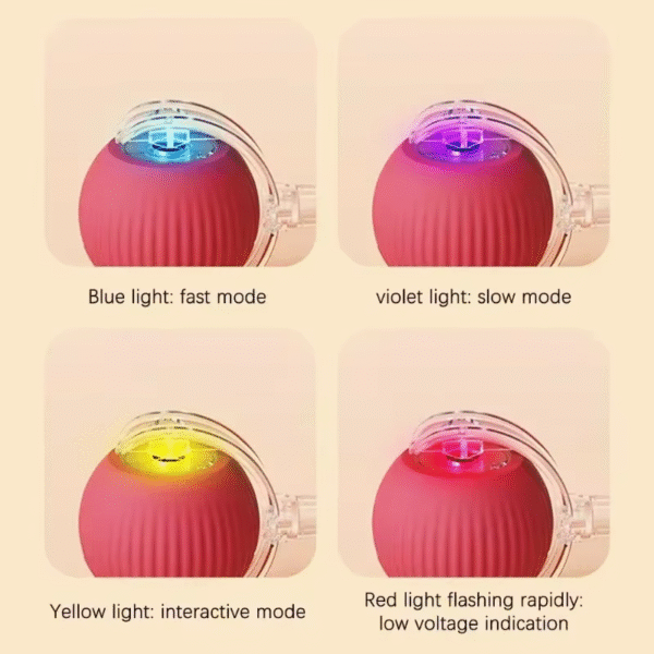 Interactive Dog Toys Rechargeable Pet Interactive Toys Electric Cats Ball Automatic Rolling Fake Tail Ball Dog Cats Toy - Image 5