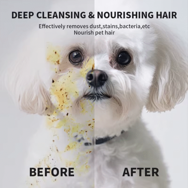 New 6PCS Pet Wash-Free Gloves Cat Bath Deodorant Wipes Disposable Cleaning Dry Cleaning Dog Wipes Gentle and Convenient Gloves - Image 6