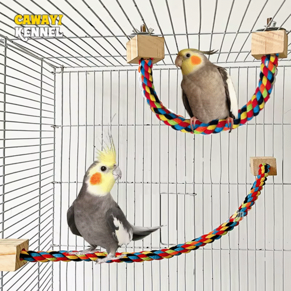 Pet Bird Bite Toys Parrot Color Cotton Rope Toys Elastic Parrot Climbing Toys Sturdy Bird Swing Harness Cage Pet Toy Swing Stand - Image 3