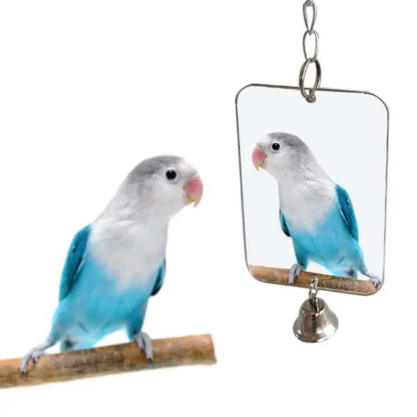 Hanging Mirror Bell Toy for Parakeets and Small Birds - Interactive Cage Decoration with Sound - Image 2